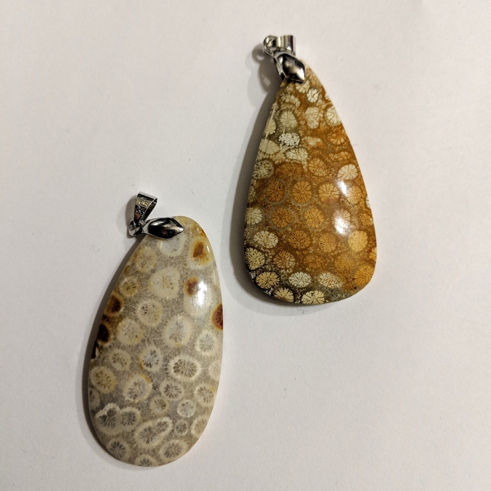 fossil coral pendant necklace